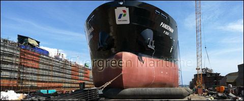 evrgreen-ship-launching-aibags