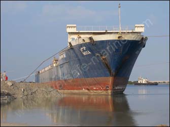Ro-ro cargo ship docking with evergreen balloons